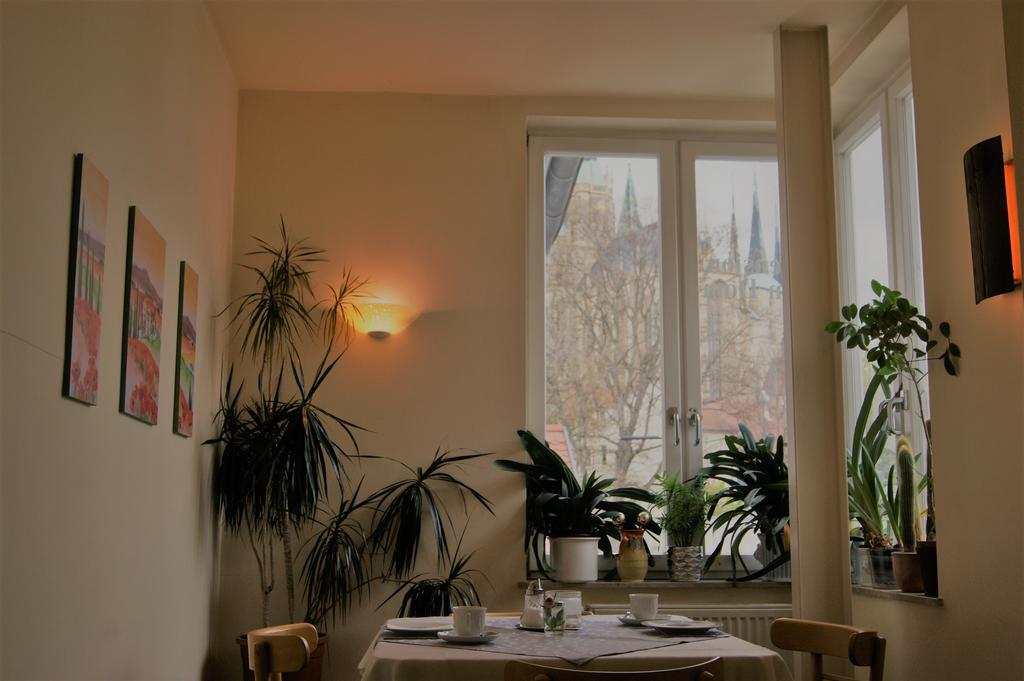 Pension Am Dom Erfurt Ngoại thất bức ảnh